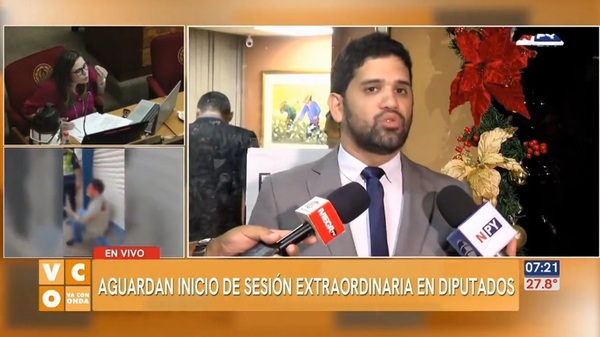 Senado tuvo un actuar "nefasto y bochornoso", según diputado - Noticias Paraguay