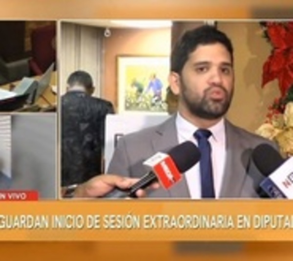 Diputado califica de "bochornosa y nefasta" a sesión del Senado - Paraguay.com