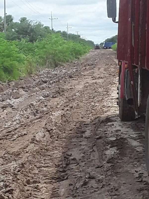 Pobladores de Bajo Chaco aguardan expectantes inicio de obras en la ruta PY12 - Noticias del Chaco - ABC Color