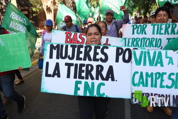 Diario HOY | Atención conductores: cierran Palma y otras calles
