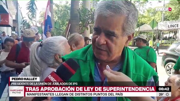 Halley sostiene que Peña se fabricó un problema social y que es "torpe políticamente" - Megacadena - Diario Digital