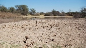 Lo contrario a Santiago Peña: Ministro de Agricultura “duda” del cambio climático