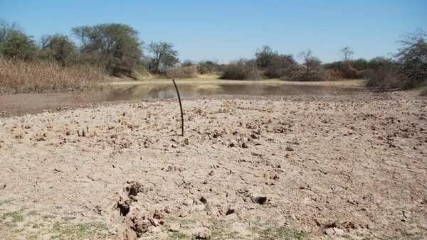 Lo contrario a Santiago Peña: Ministro de Agricultura “duda” del cambio climático