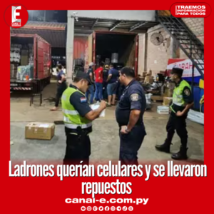 Ladrones querían celulares y se llevaron repuestos