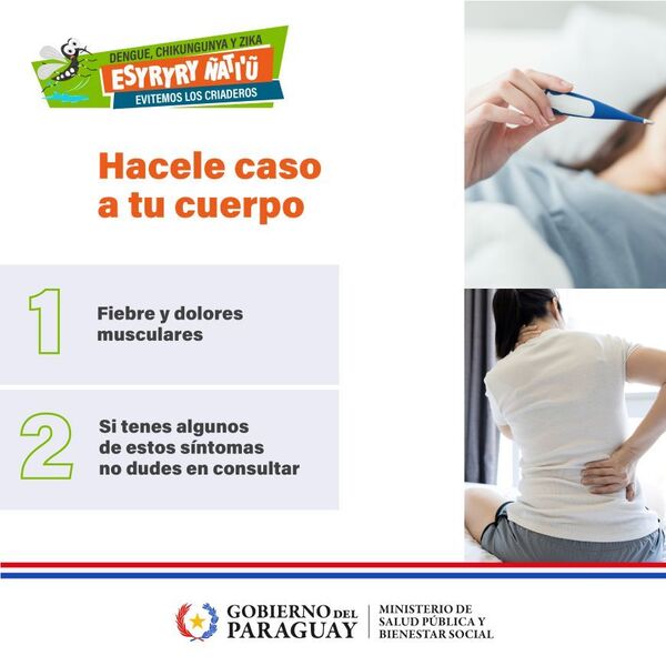 Diario HOY | Salud insta estar alerta ante los síntomas del dengue