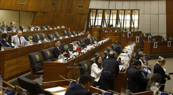 Diputados sancionan ley de Superintendencia de Jubilaciones - Noticiero Paraguay