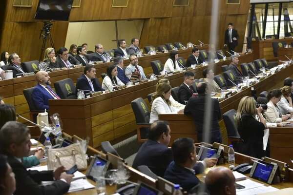 Los 42 diputados que votaron por la Ley de Superintendencia de Jubilaciones - Política - ABC Color