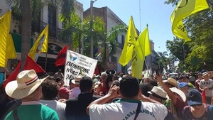 Diputados cartistas aprobaron ley de Superintendencia en medio de protestas y amenazas de huelga