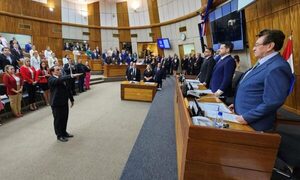 Emilio Remesowski juró como diputado