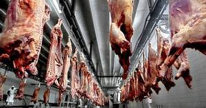 La Nación / Desde mañana frigoríficos podrán empezar a faenar para enviar carne a EE.UU.