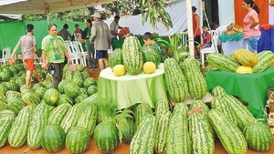 Tavapy se prepara para vivir nueva edición de Expo Sandía