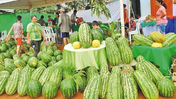 Tavapy se prepara para vivir nueva edición de Expo Sandía