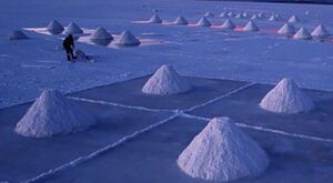 Bolivia y Rusia sellan millonario acuerdo para extraer litio - ADN Digital