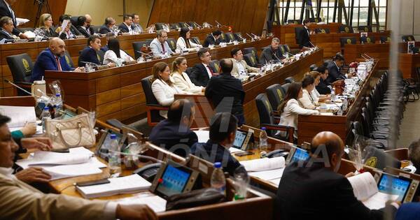 La Nación / Diputados sanciona proyecto de Superintendencia de Pensiones