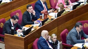 Puertas giratorias: Senado mutila ley y frena transparencia