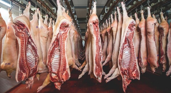 Desde hoy parten miles de toneladas de carne a EE.UU. - La Tribuna
