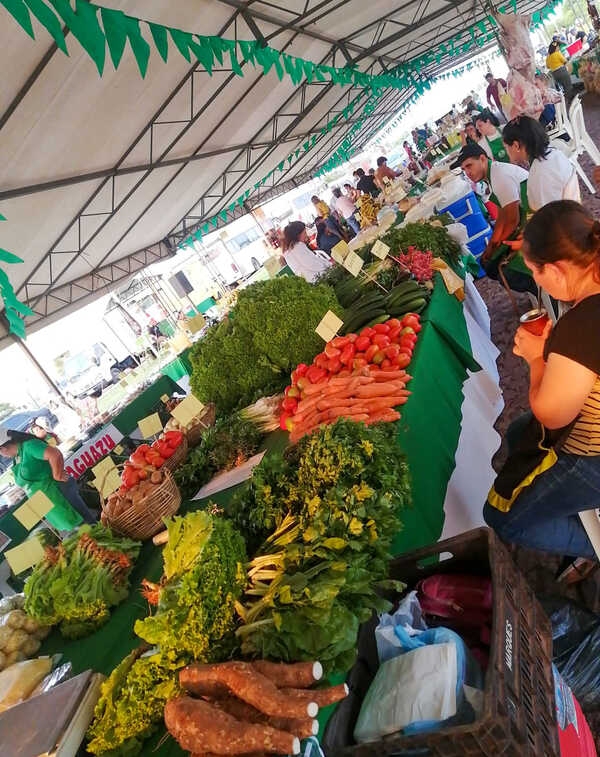 “Fiestas con sabor a campo”: Agricultores invitan a feria en la Costanera - Unicanal