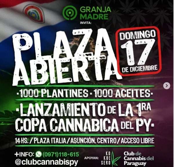 Invitan a nueva feria cannábica: regalarán plantines y aceite - Nacionales - ABC Color