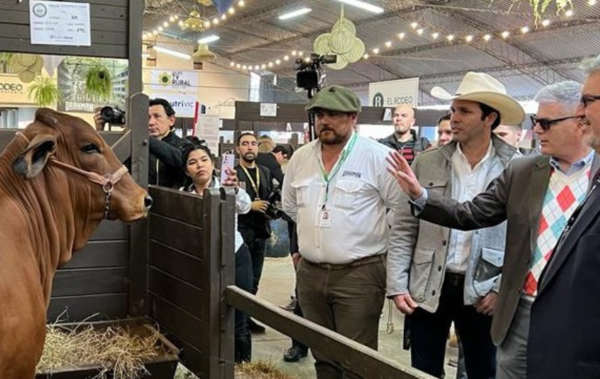 Carnes paraguayas se alistan para ir al mercado estadounidense