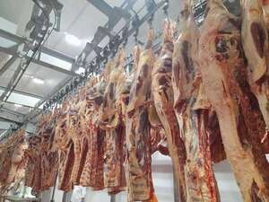 AUDIO: Frigoríficos de Paraguay ya pueden preparar envíos de carne para EE.UU. - A La Gran 7-30 - ABC Color