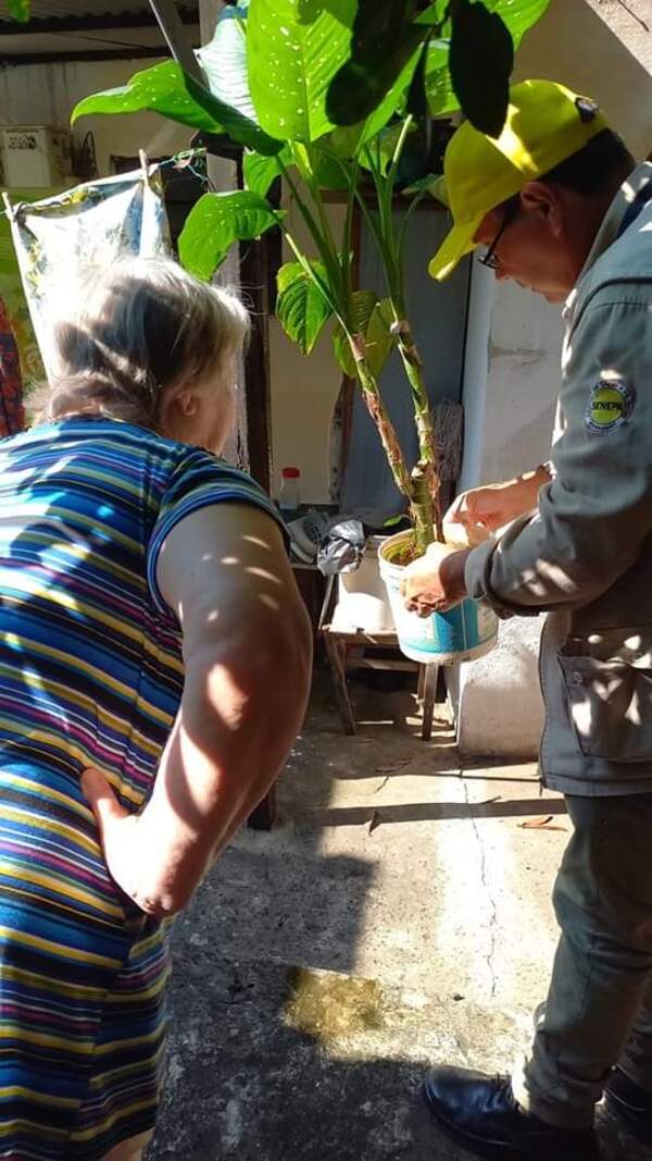 Exhortan a mantener limpios los patios para evitar el dengue