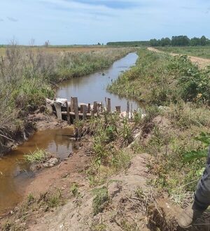 Mortalidad de peces en Misiones: Ordenan destrucción de represa agrícola que desviaba cauce hídrico - ADN Digital