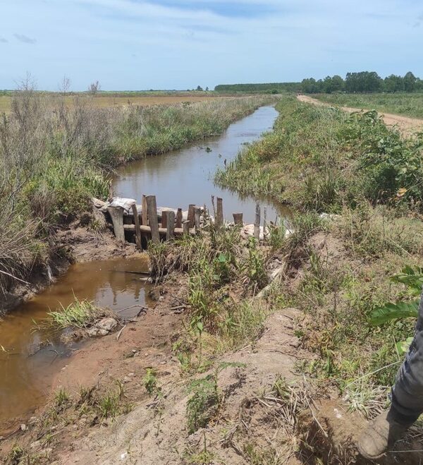 Mortalidad de peces en Misiones: Ordenan destrucción de represa agrícola que desviaba cauce hídrico - ADN Digital