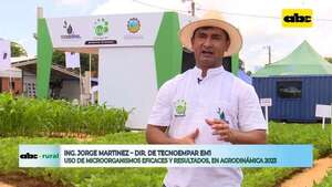 Video: Tecnoempar y los resultados que dan el uso de los EM 1 en Agrodinámica 2023 - ABC Rural - ABC Color