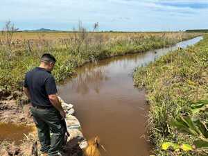 Diario HOY | Mortandad de peces en Misiones: ordenan destrucción de represa agrícola