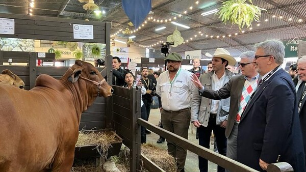 Es oficial: Carne paraguaya ya puede ingresar a los Estados Unidos