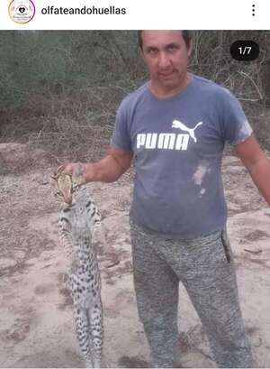 Viral: Mades investiga caso de tirika que es despellejado - Nacionales - ABC Color