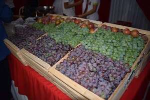 Ultiman detalles para la XIII Expo Frutas de La Colmena - Nacionales - ABC Color