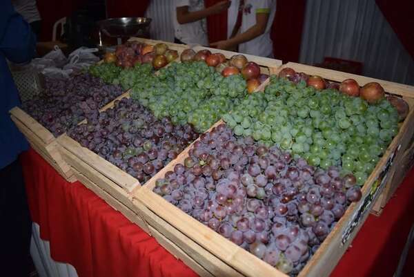 Ultiman detalles para la XIII Expo Frutas de La Colmena - Nacionales - ABC Color