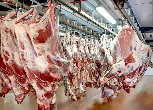 Diario HOY | Embajada paraguaya en Washington avanza en el proceso de envío de carne a EE.UU.