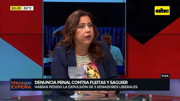 Denuncia penal contra Fleitas y Saguier: habían pedido la expulsión de 5 senadores liberales - Mesa de Periodistas - ABC Color
