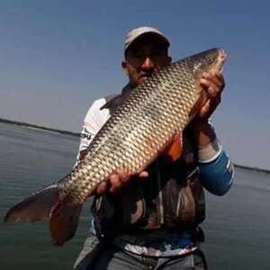 Finaliza veda pesquera en aguas compartidas con Argentina - Nacionales - ABC Color