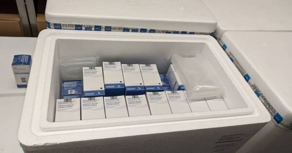 La Nación / Exportación de plasma: Paraguay recibe medicamentos hemoderivados