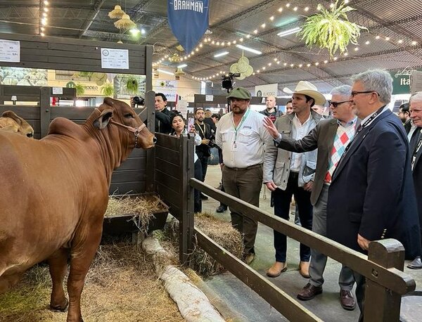Paraguay ya puede exportar carne vacuna a los Estados Unidos - El Independiente