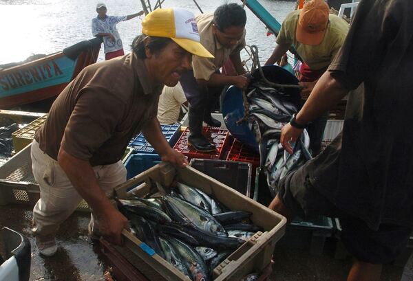 La economía de Perú cae un 0,65 % de enero a octubre, por el impacto en la pesca y la construcción - MarketData