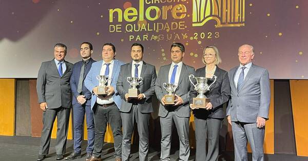 La Nación / Carcasas Nelore de Paraguay entre las cinco mejores de Sudamérica