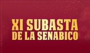 Senabico subasta automóviles y motocicletas - ADN Digital