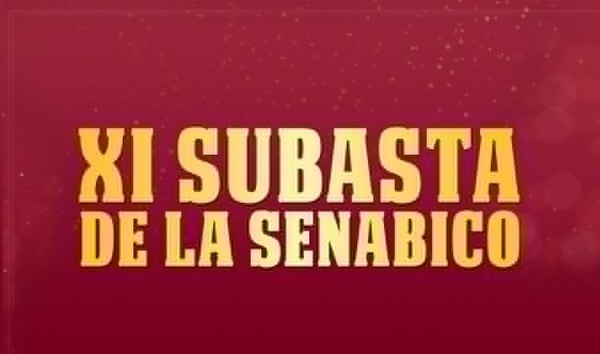 Senabico subasta automóviles y motocicletas - ADN Digital