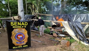 SENAD destruye más de 13 toneladas de marihuana y campamentos en Amambay