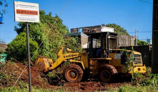 Multa por no limpiar terrenos supera los G. 7 millones en Ciudad del Este - ABC en el Este - ABC Color