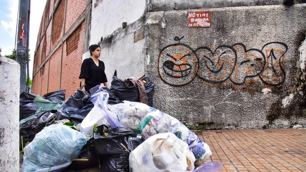Salud registra incremento de casos y muertes por dengue en el país