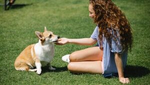 ¿Los perros pueden entender el lenguaje de los humanos? - San Lorenzo Hoy