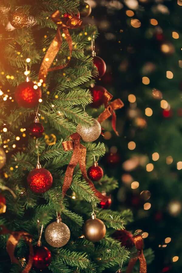 Deco: el árbol de Navidad - ABC Revista - ABC Color