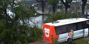 Fuerte temporal ocasiona destrozos y muertes en Argentina - Mundo - ABC Color