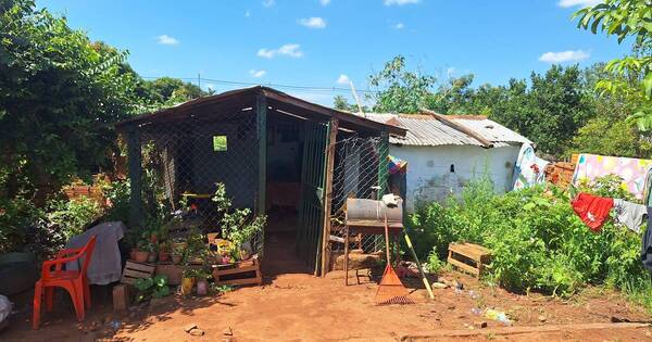La Nación / Construirán una vivienda digna a joven con discapacidad, quien sigue necesitando ayuda