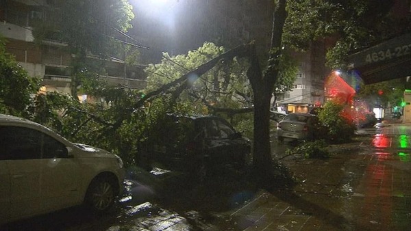 Temporal llegó a Buenos Aires y causó más destrozos | 1000 Noticias